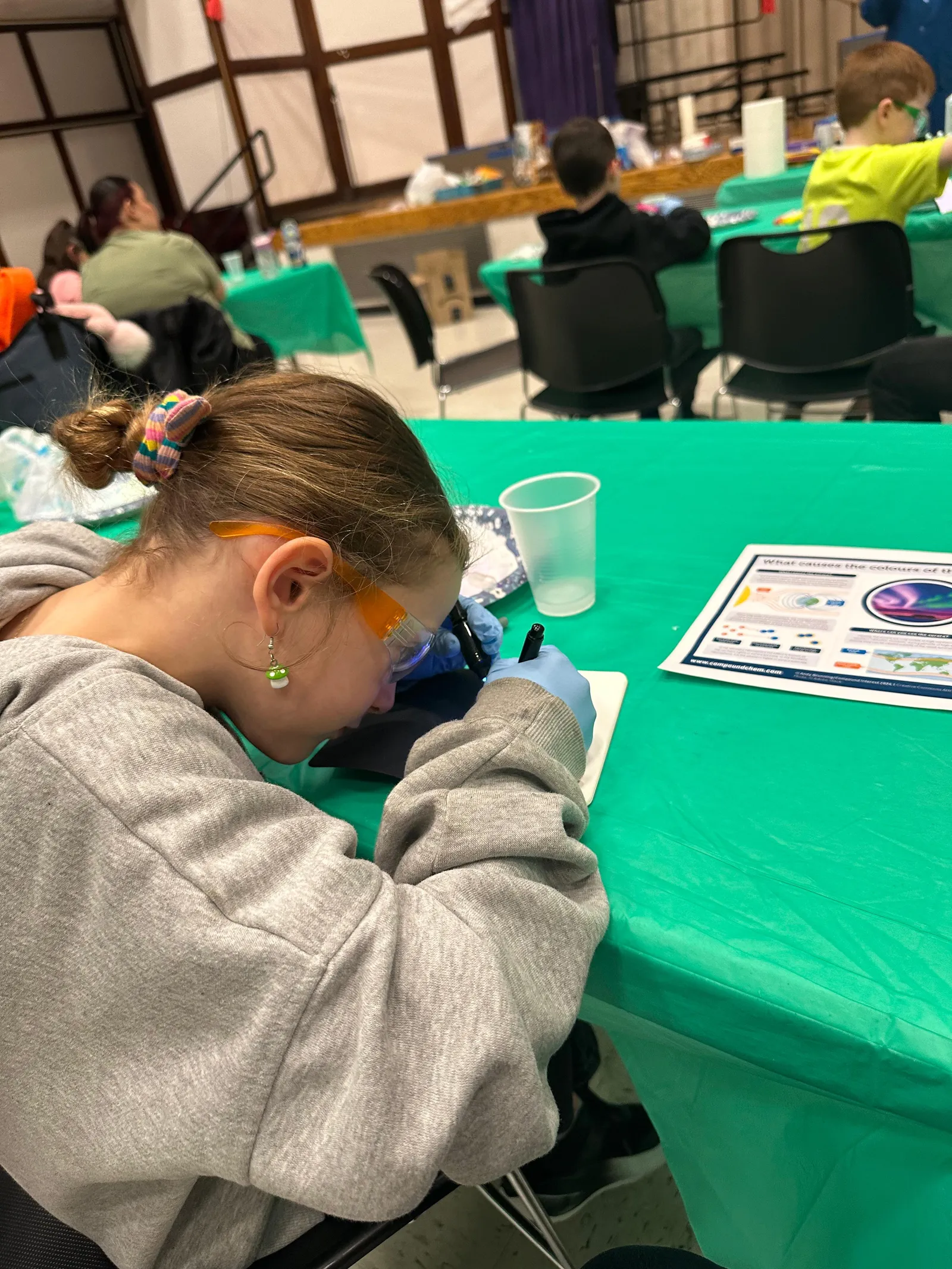 Science Day — photo 8